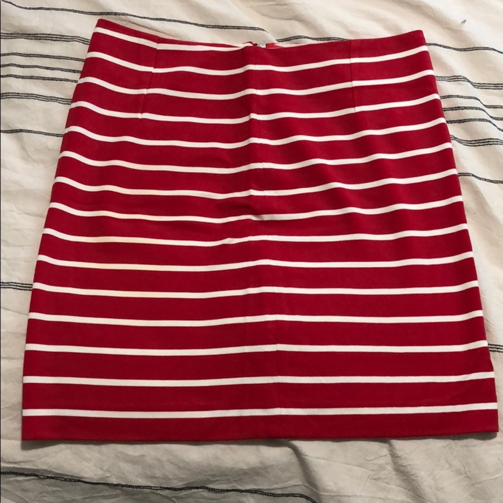 Striped Bodycon Skirt